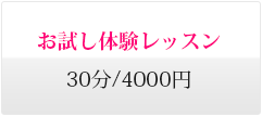 お試し体験レッスン 30分/4000円 